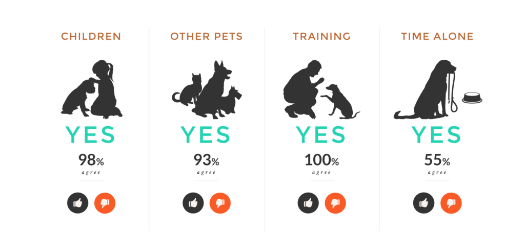 Shelties Masek Kennels